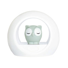 L.E.D Light - Owl / Grey with sound activation - ZAZU - ROSO
 - 1